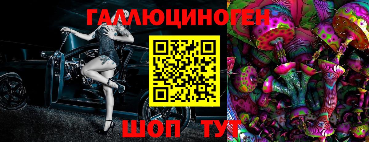закладка  Вход с VPN  Верхняя Пышма  Псилоцибиновые грибы Cubensis 