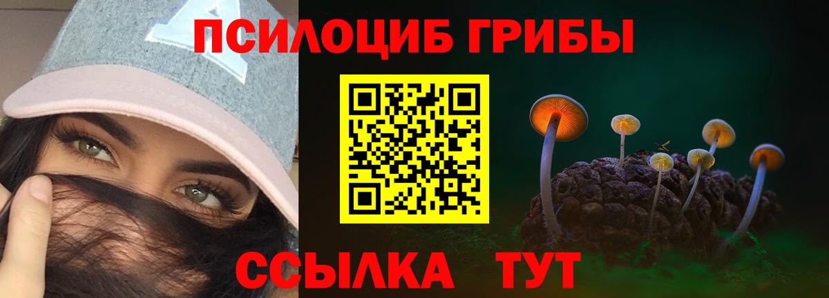 Галлюциногенные грибы MAGIC MUSHROOMS Верхняя Пышма